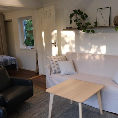 Surfers Guesthouse オーサ エクステリア 写真